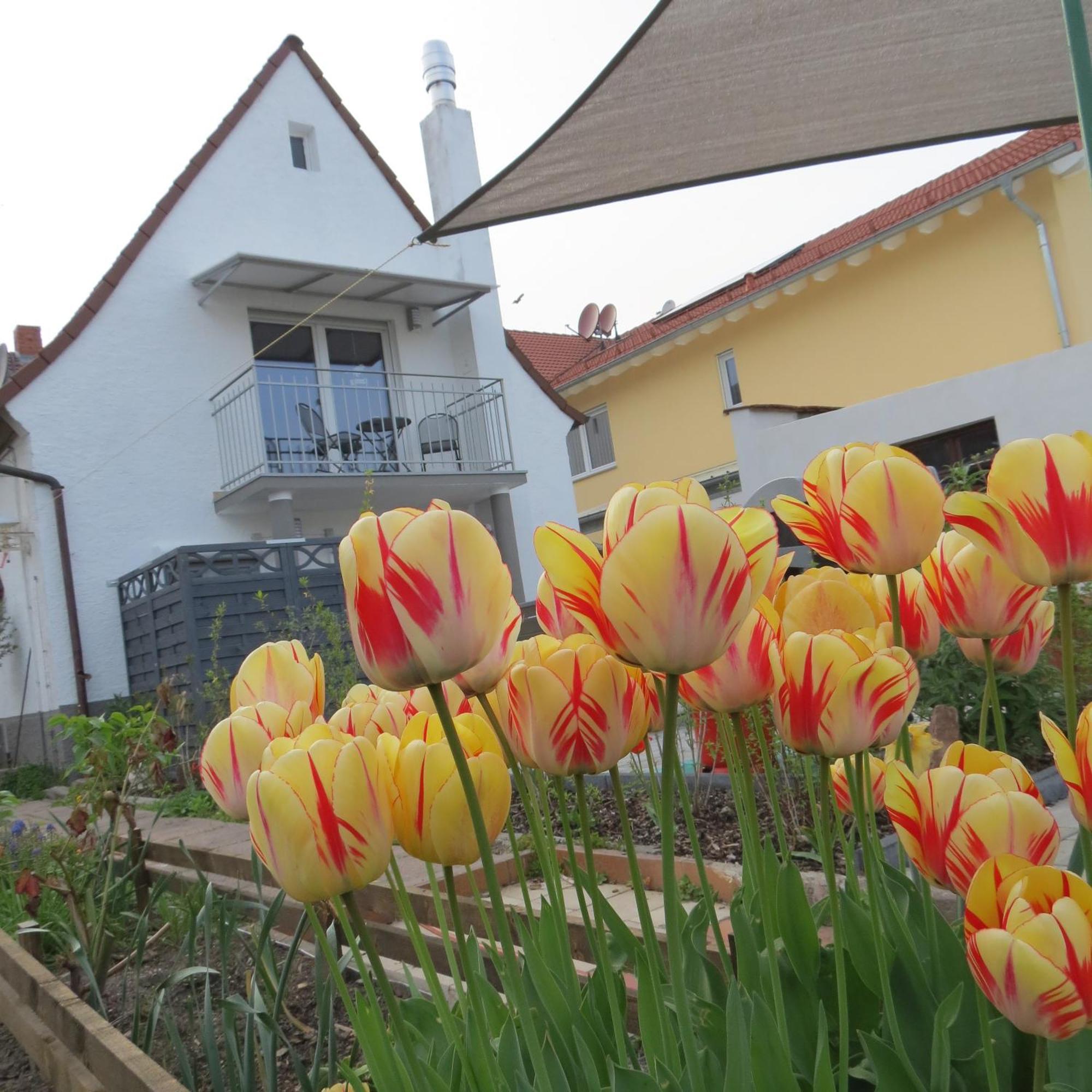 Spira House Apartment Exterior foto